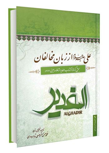 علی علیه السلام از زبان مخالفان